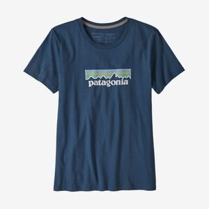 Patagonia Navy Blue Mountain Stripe Logo Tee